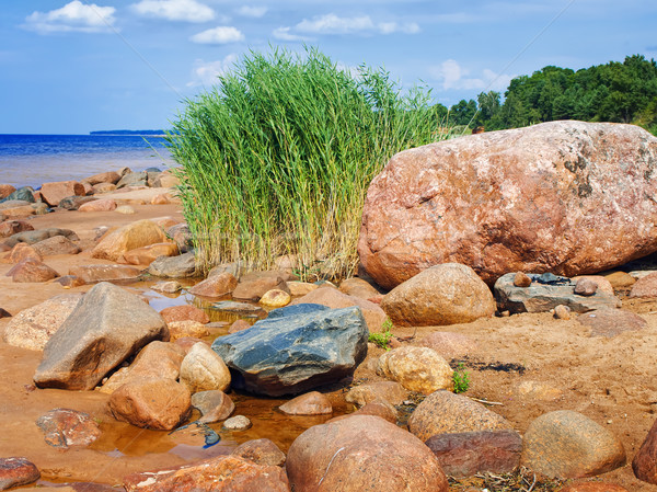 Sea rocky beach Stock photo © SRNR