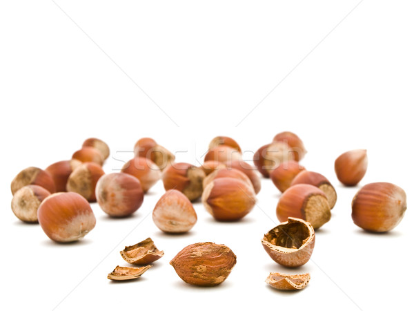 Haselnüsse weiß Shell Nüsse starken weißem Hintergrund Stock foto © SRNR
