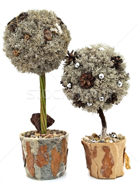  decorative handmade natural materials trees Stock photo © SRNR
