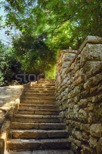 Stairway Stock photo © SRNR