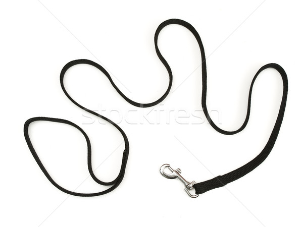 dog-lead Stock photo © SRNR