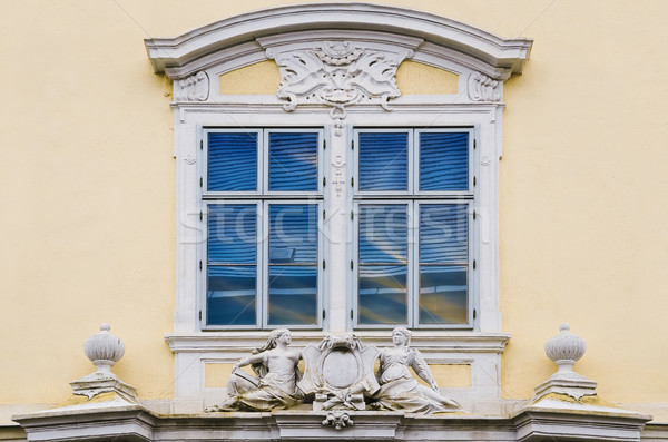 Window Stock photo © SRNR