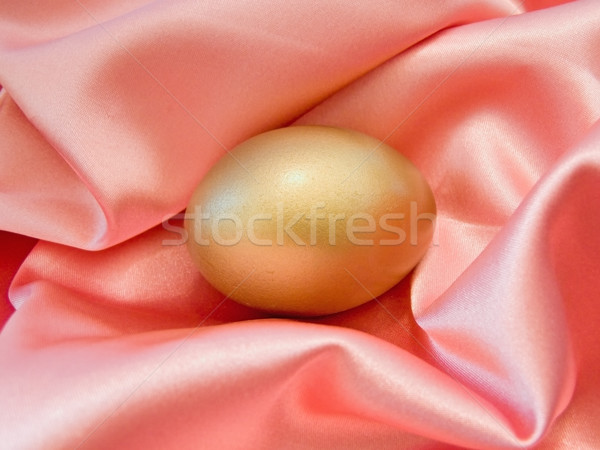 金の卵 シルク ピンク 卵 美しい 宝 ストックフォト © SRNR