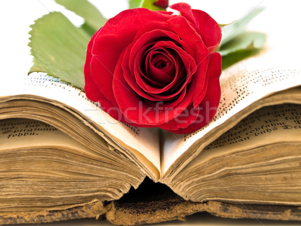 Foto stock: Edad · libro · abierto · Rose · Red · libro · carta · romance