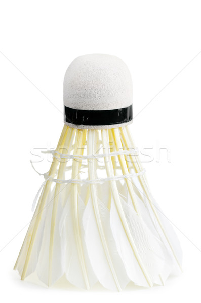 Natural pană badminton alb sportiv profesional Imagine de stoc © SRNR