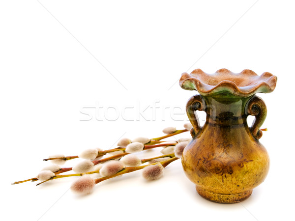Vase chatte saule Pâques nature plantes [[stock_photo]] © SRNR