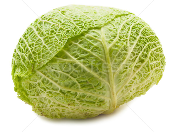 cabbage Stock photo © SRNR