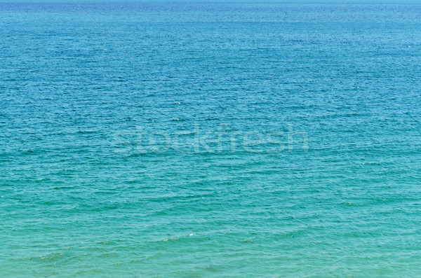 Black Sea  Stock photo © SRNR