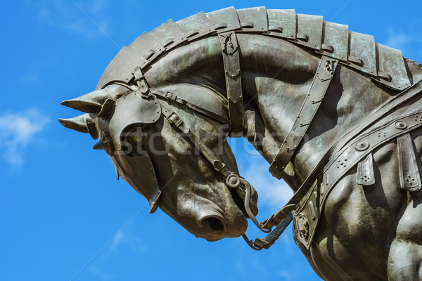 Detail of the Monument Stock photo © SRNR