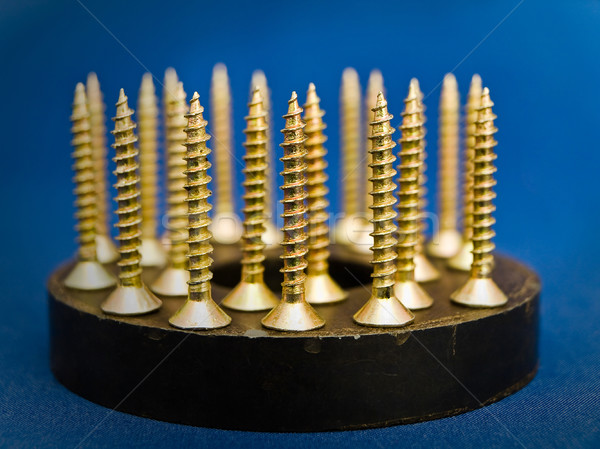 screws at magnet Stock photo © SRNR