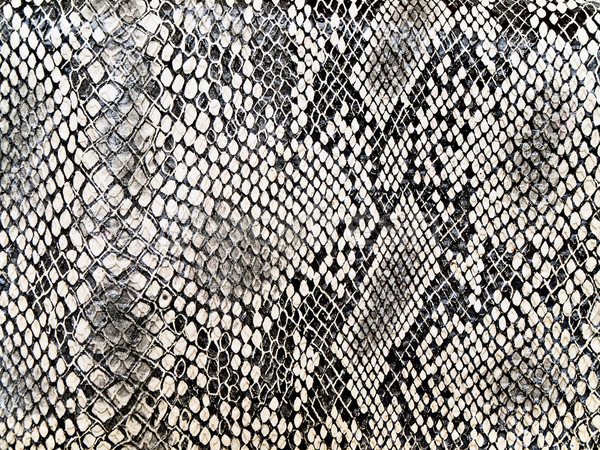 Stock foto: Schlange · Muster · schwarz · weiß · Stil · Mode · abstrakten