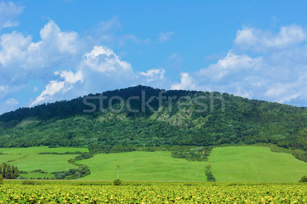 Krajobraz górskich dzielnica Słowacja niebo Zdjęcia stock © SRNR