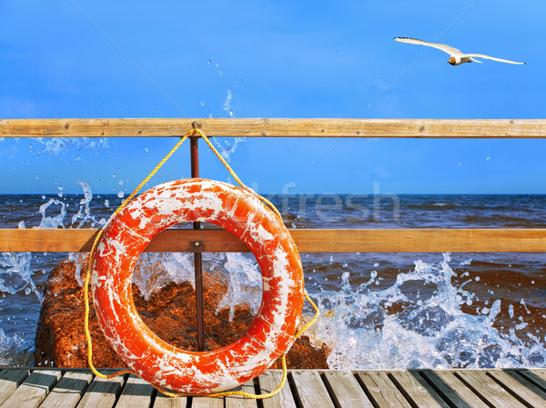 life-buoy ring Stock photo © SRNR