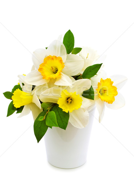 narcissus bouquet Stock photo © SRNR