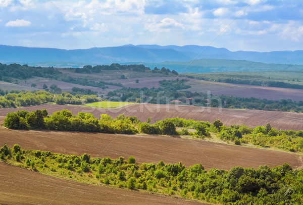 Pola Bułgaria charakter krajobraz górskich dziedzinie Zdjęcia stock © SRNR