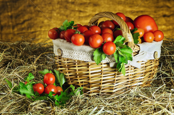 Tomatoes Stock photo © SRNR