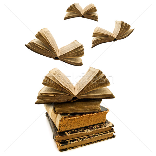 Boeken onderwijs oude vliegen weg Stockfoto © SRNR