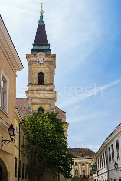 Сatolic Church Stock photo © SRNR