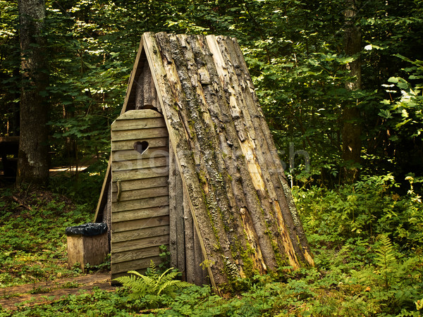 Holz WC geöffnet Tür Wald Holz Stock foto © SRNR