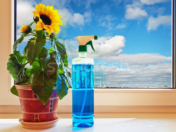 Venster zonnebloem schoonmaken vloeistof elleboog boord Stockfoto © SRNR