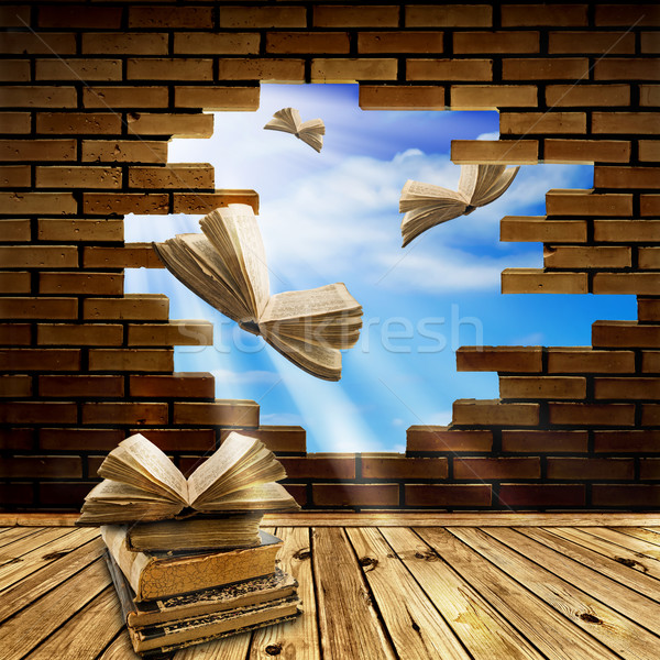 Wiedzy wolności edukacji książek pływające Zdjęcia stock © SRNR