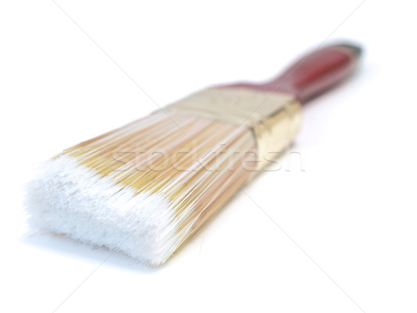 Jeżyć futra biały farby sztuki Zdjęcia stock © SRNR