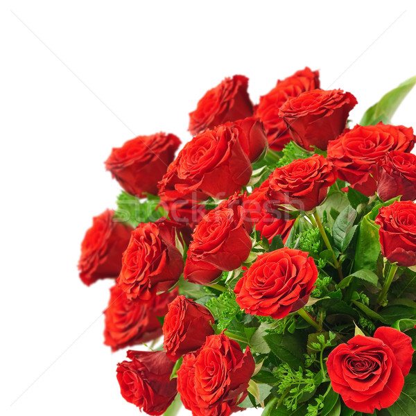 Rosas buquê rosas vermelhas branco amor natureza Foto stock © SRNR