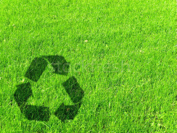 Recycling Zeichen grünen Gras Wiese Kopie Raum Stock foto © SRNR