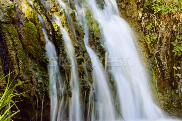 Waterfall Stock photo © SRNR