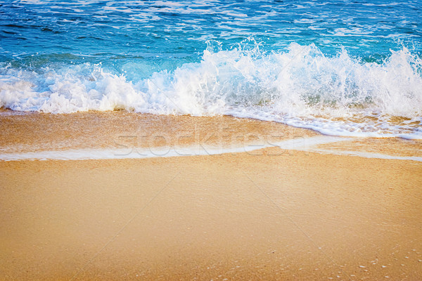Surf on the Seashore Stock photo © SRNR