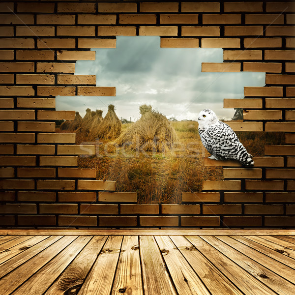 Nature in broken wall Stock photo © SRNR