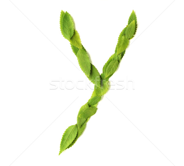 Stock photo: Leaf Letters