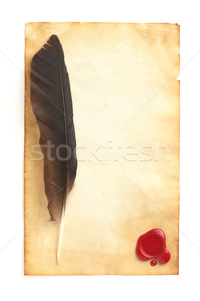 Quill on blank paper Stock photo © SSilver