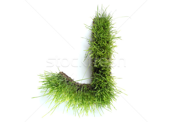 Letters made of grass - J Stock photo © SSilver