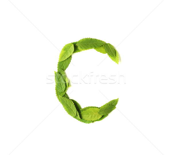 Leaf letters Stock photo © SSilver