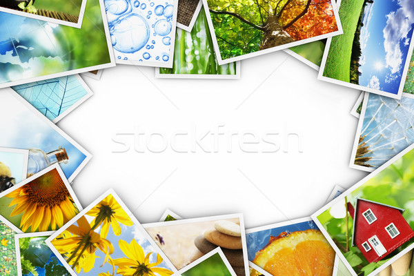 Collection of photos Stock photo © SSilver
