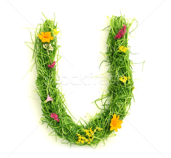 Briefe Blumen Gras isoliert weiß Blume Stock foto © SSilver