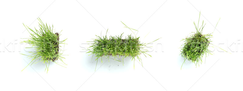 Symbols made of grass - period, comma, dash Stock photo © SSilver