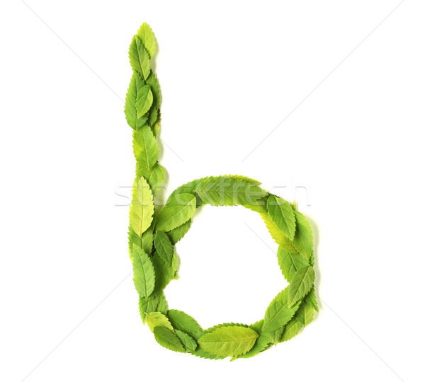 Stock photo: Leaf letters