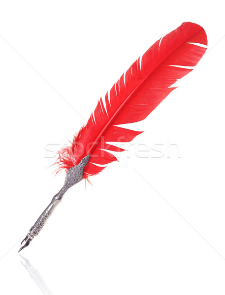 Red and silver quill Stock photo © SSilver