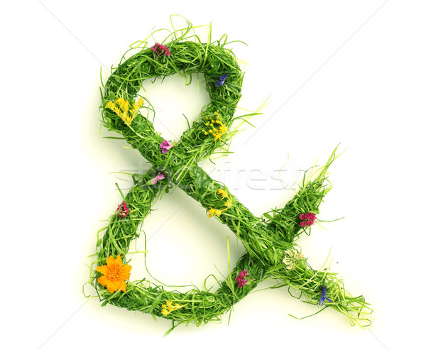 Stock photo: Ampersand made of flowers and grass