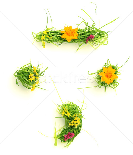 Foto stock: Símbolos · flores · grama · isolado · branco · flor