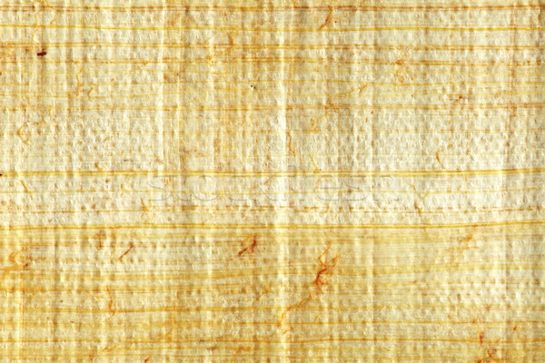 Papiro primo piano texture pattern antichi pergamena Foto d'archivio © SSilver