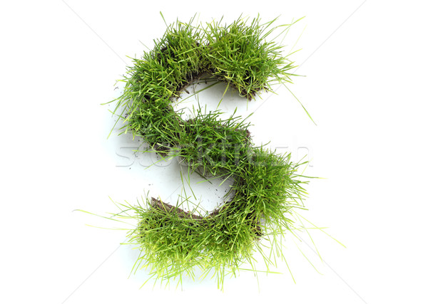 Stock photo: Letters made of grass - S