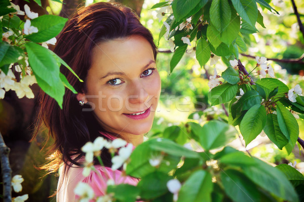 Piękna ogród młoda kobieta stałego wiśniowe drzewo Zdjęcia stock © Steevy84