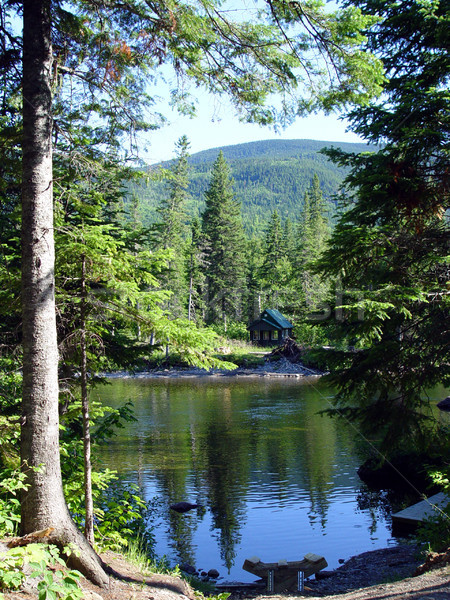 Foto d'archivio: Piccolo · casa · Canada · albero · foresta · costruzione