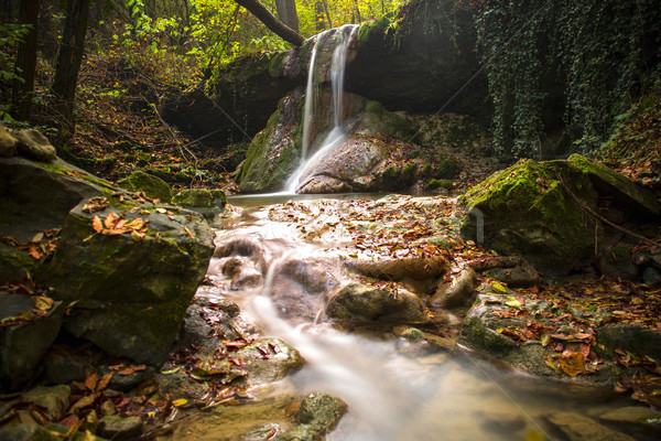 すごい 滝 カラフル 秋 森林 イタリア ストックフォト © stefanoventuri