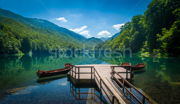 Biogradsko lake landscape, Montenegro Stock photo © Steffus