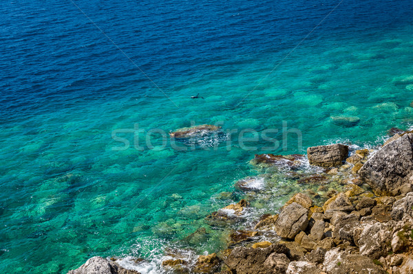 Diving in Adriatic sea perfect turquoise water Stock photo © Steffus