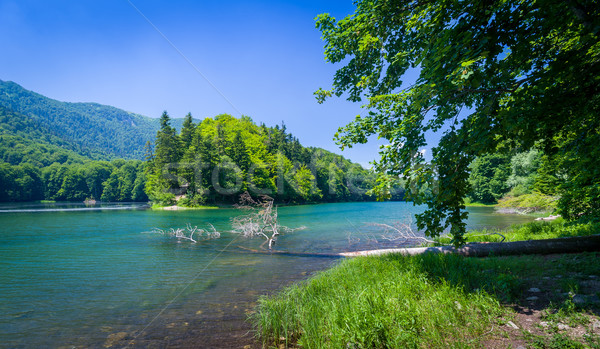 Tó park Montenegró nyár tájkép hegy Stock fotó © Steffus